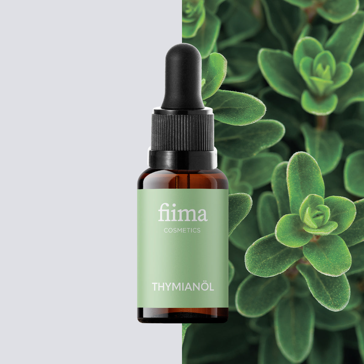 Thymianöl